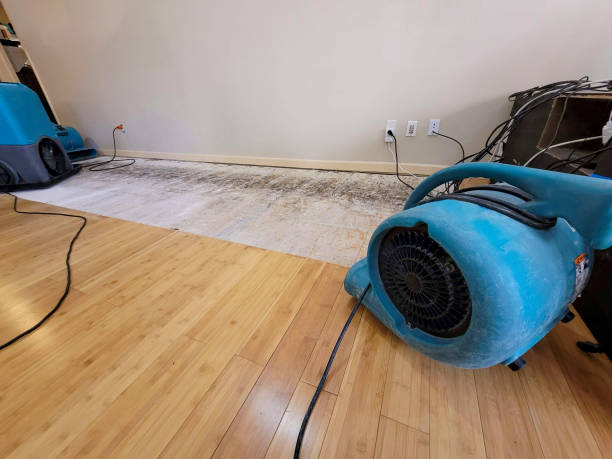 Professional Water Damage Repair technician working in Weston, NJ